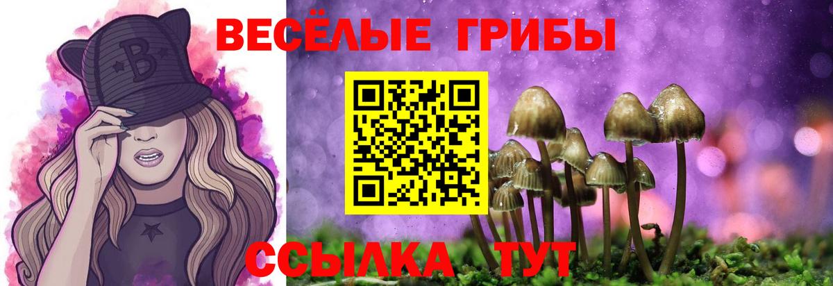 как найти   Галлюциногенные грибы MAGIC MUSHROOMS  Вход с VPN  Миасс 