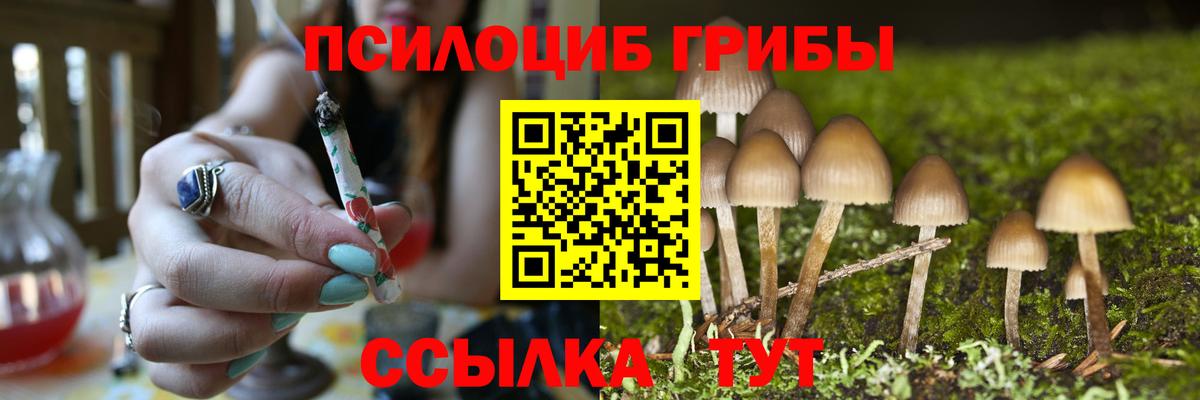 Галлюциногенные грибы GOLDEN TEACHER Миасс